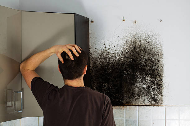 Best Residential Mold Removal  in Linganore, MD